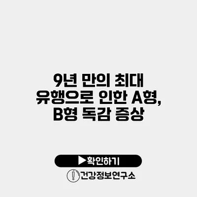 9년 만의 최대 유행으로 인한 A형, B형 독감 증상