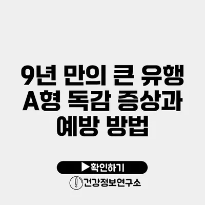 9년 만의 큰 유행 A형 독감 증상과 예방 방법