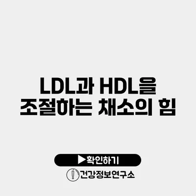 LDL과 HDL을 조절하는 채소의 힘