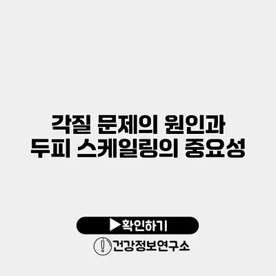 각질 문제의 원인과 두피 스케일링의 중요성