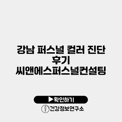 강남 퍼스널 컬러 진단 후기 씨앤에스퍼스널컨설팅