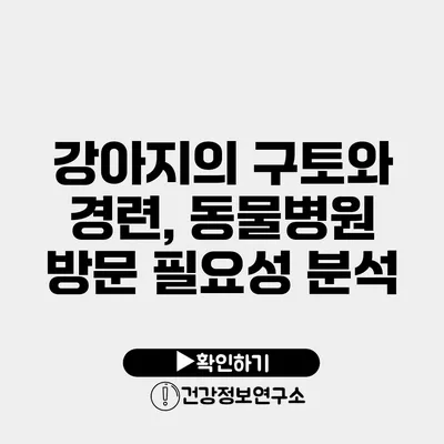 강아지의 구토와 경련, 동물병원 방문 필요성 분석