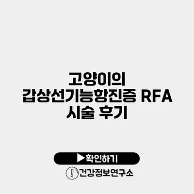 고양이의 갑상선기능항진증 RFA 시술 후기