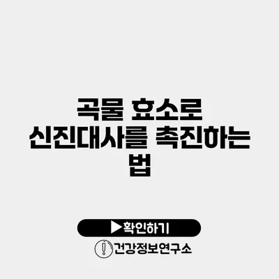 곡물 효소로 신진대사를 촉진하는 법