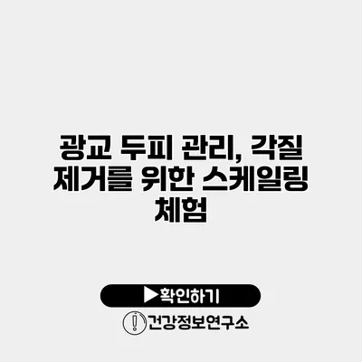 광교 두피 관리, 각질 제거를 위한 스케일링 체험