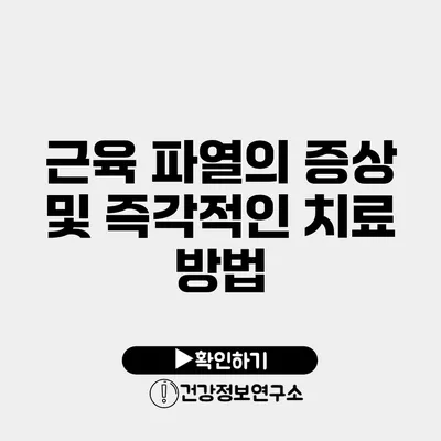 근육 파열의 증상 및 즉각적인 치료 방법