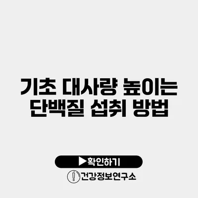 기초 대사량 높이는 단백질 섭취 방법