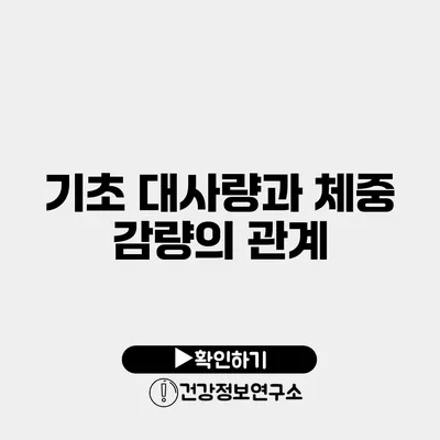 기초 대사량과 체중 감량의 관계