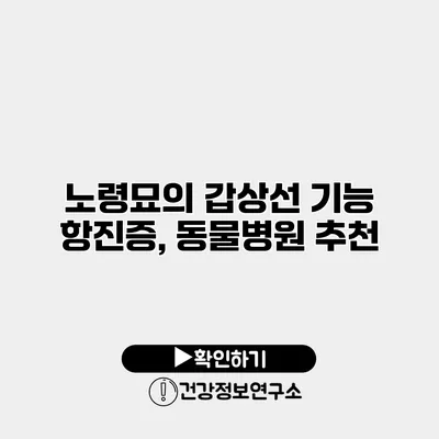 노령묘의 갑상선 기능 항진증, 동물병원 추천