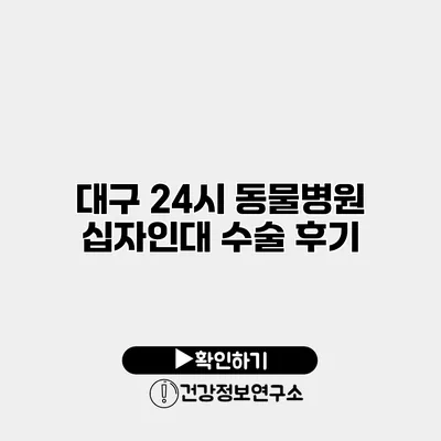 대구 24시 동물병원 십자인대 수술 후기