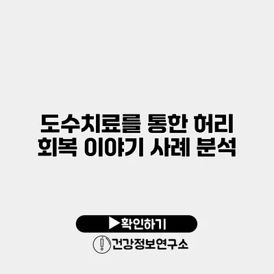 도수치료를 통한 허리 회복 이야기 사례 분석