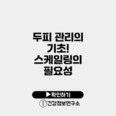 두피 관리의 기초! 스케일링의 필요성