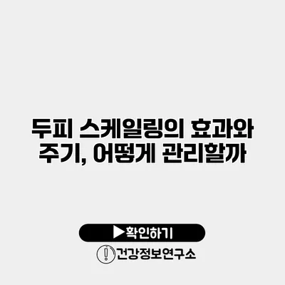 두피 스케일링의 효과와 주기, 어떻게 관리할까?