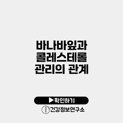 바나바잎과 콜레스테롤 관리의 관계