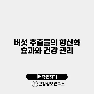 버섯 추출물의 항산화 효과와 건강 관리