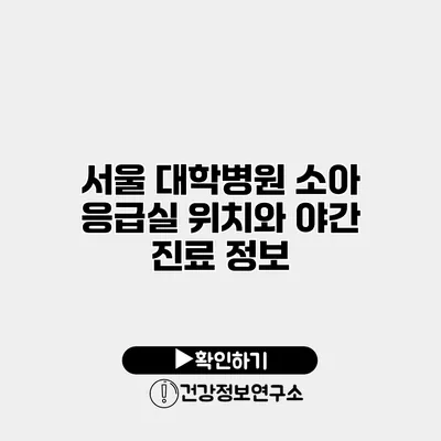 서울 대학병원 소아 응급실 위치와 야간 진료 정보