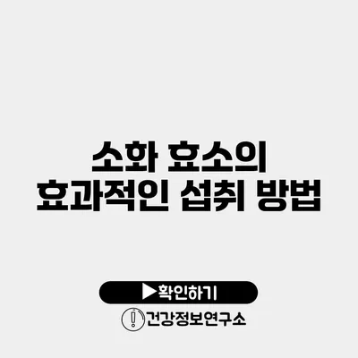 소화 효소의 효과적인 섭취 방법