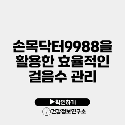 손목닥터9988을 활용한 효율적인 걸음수 관리