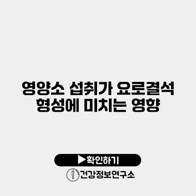 영양소 섭취가 요로결석 형성에 미치는 영향