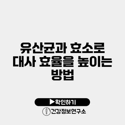 유산균과 효소로 대사 효율을 높이는 방법