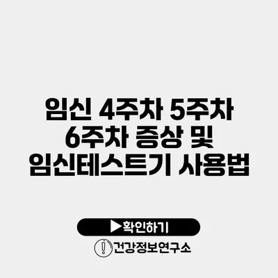 임신 4주차 5주차 6주차 증상 및 임신테스트기 사용법