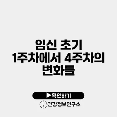 임신 초기 1주차에서 4주차의 변화들