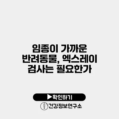 임종이 가까운 반려동물, 엑스레이 검사는 필요한가?