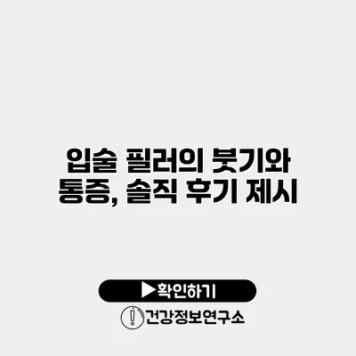 입술 필러의 붓기와 통증, 솔직 후기 제시