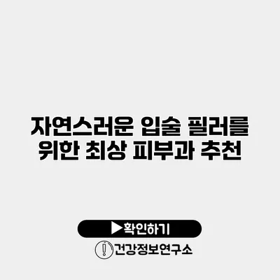 자연스러운 입술 필러를 위한 최상 피부과 추천