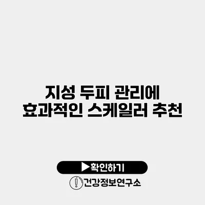 지성 두피 관리에 효과적인 스케일러 추천