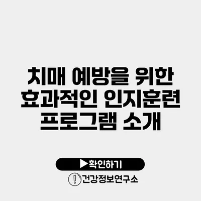 치매 예방을 위한 효과적인 인지훈련 프로그램 소개