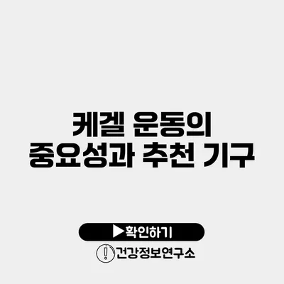 케겔 운동의 중요성과 추천 기구