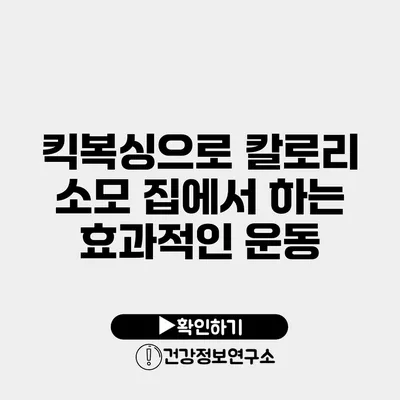 킥복싱으로 칼로리 소모 집에서 하는 효과적인 운동