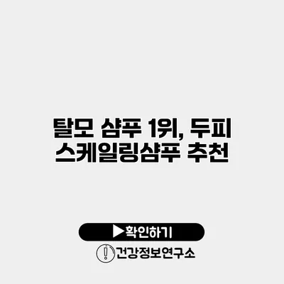 탈모 샴푸 1위, 두피 스케일링샴푸 추천