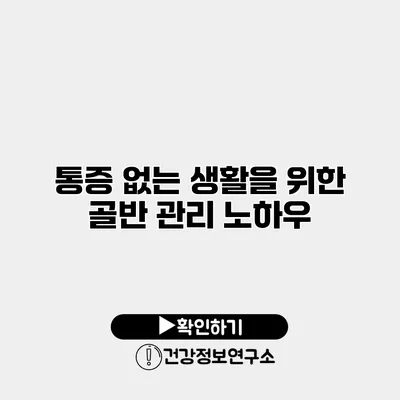 통증 없는 생활을 위한 골반 관리 노하우