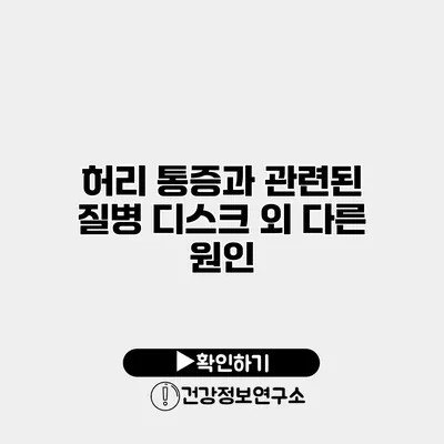 허리 통증과 관련된 질병 디스크 외 다른 원인