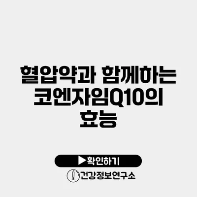 혈압약과 함께하는 코엔자임Q10의 효능