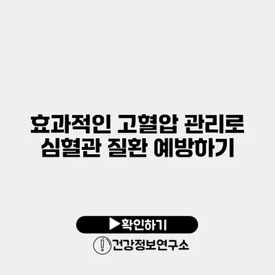 효과적인 고혈압 관리로 심혈관 질환 예방하기