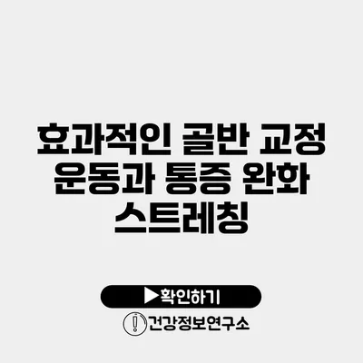 효과적인 골반 교정 운동과 통증 완화 스트레칭