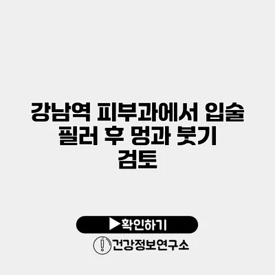 강남역 피부과에서 입술 필러 후 멍과 붓기 검토