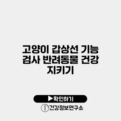 고양이 갑상선 기능 검사 반려동물 건강 지키기