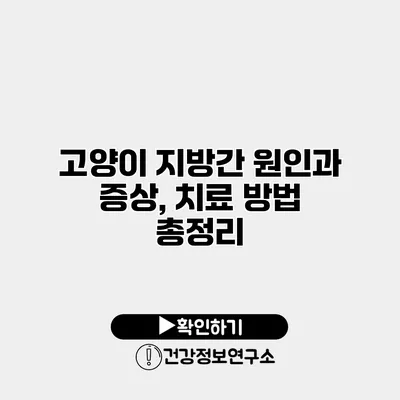 고양이 지방간 원인과 증상, 치료 방법 총정리