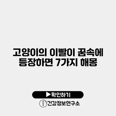 고양이의 이빨이 꿈속에 등장하면? 7가지 해몽