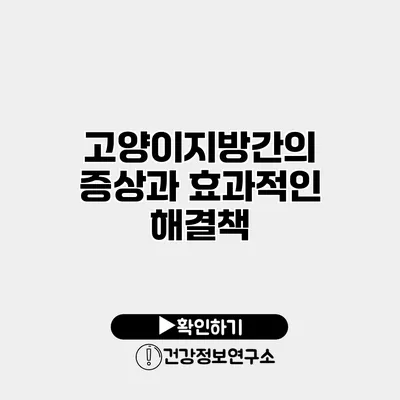 고양이지방간의 증상과 효과적인 해결책