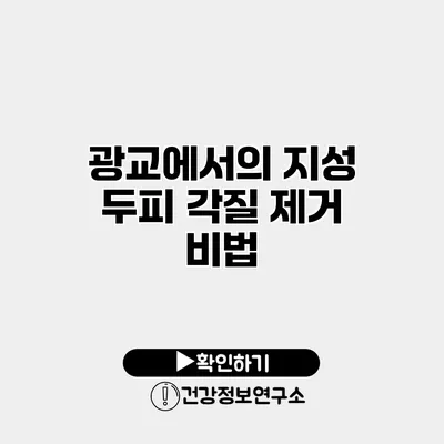 광교에서의 지성 두피 각질 제거 비법