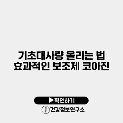 기초대사량 올리는 법 효과적인 보조제 코아진
