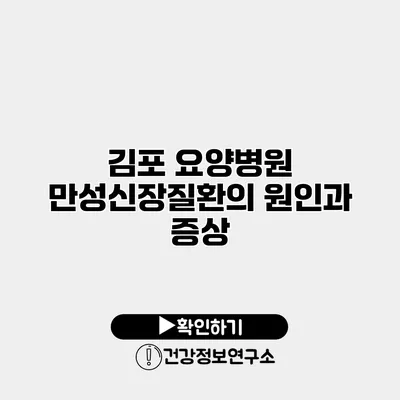 김포 요양병원 만성신장질환의 원인과 증상
