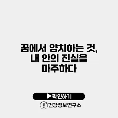 꿈에서 양치하는 것, 내 안의 진실을 마주하다