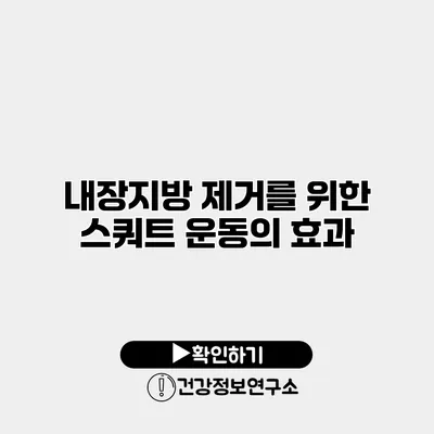 내장지방 제거를 위한 스쿼트 운동의 효과