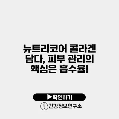 뉴트리코어 콜라겐 담다, 피부 관리의 핵심은 흡수율!